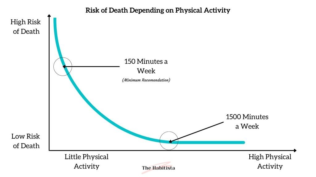 Risk of Death Depending on Physical Activity