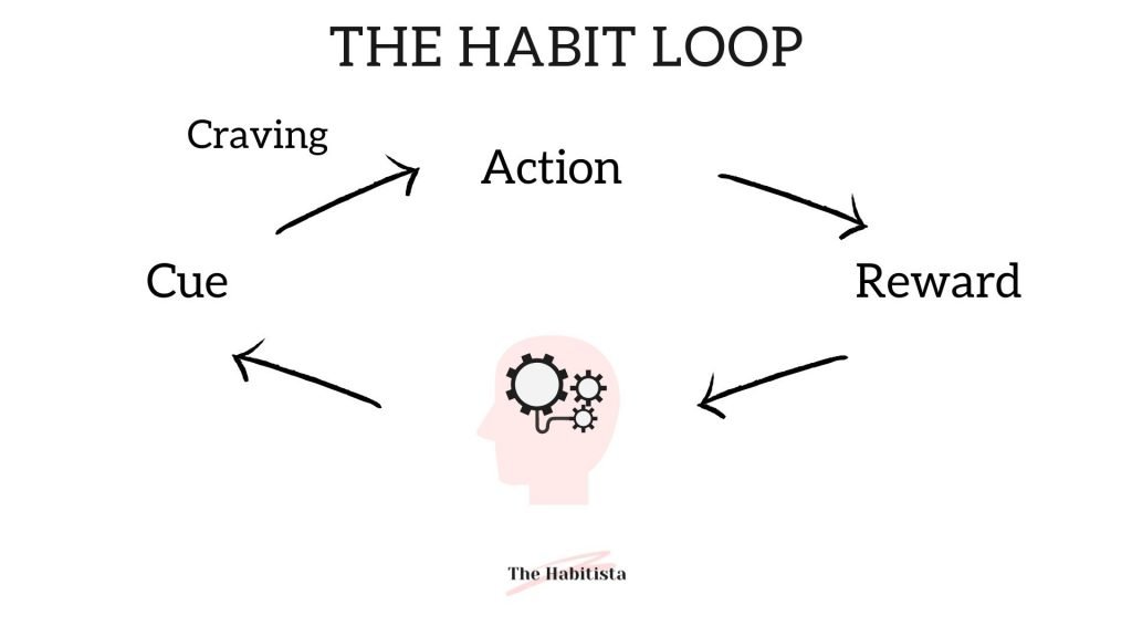The Habit Loop: Que, Craving, Action, Reward