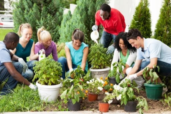 friends working in the garden together